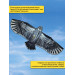 650, Динамический отпугиватель птиц "Кондор-180" без флагштока, 67729, 2 490.00 р., "Кондор-180" без флагштока, SITITEK, Отпугиватели птиц