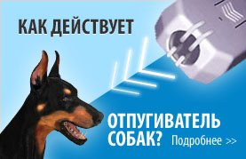 Как действует отпугиватель собак