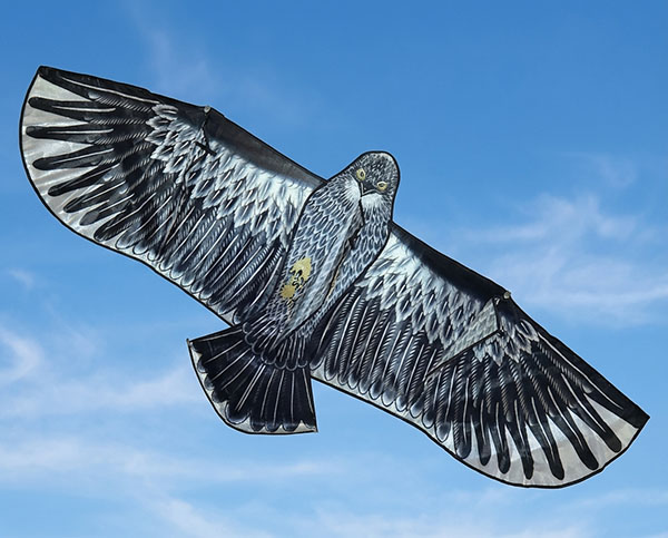 Визуальный отпугиватель птиц Кондор-180