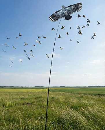 Отпугиватель птиц Кондор-180 один-в-один похож на парящую хищную птицу