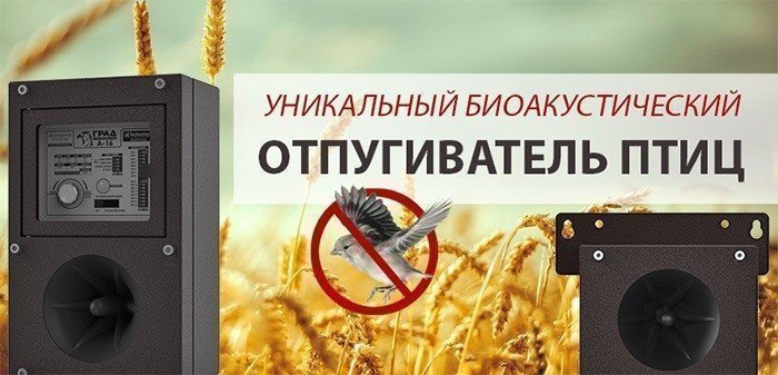 3 причины купить 